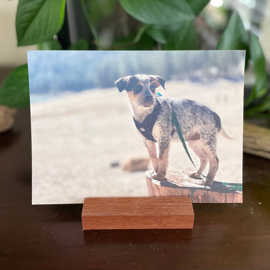 Lean-to Photo Stands