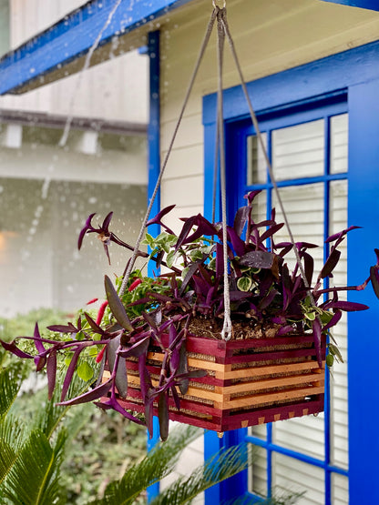 plant hanger box Hanging Planter Boxes – Byrne Woodworks